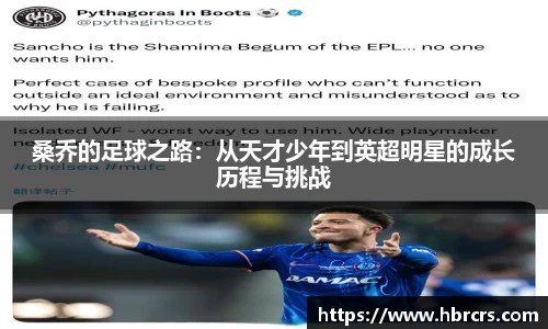 bsports官网入口